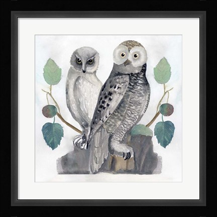 Framed Traditional Owls I Print