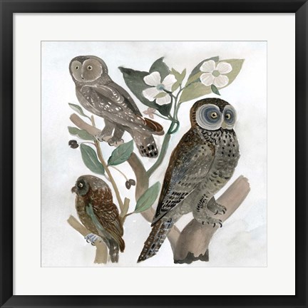 Framed Traditional Owls II Print