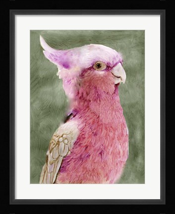 Framed Palm Springs Parrot I Print