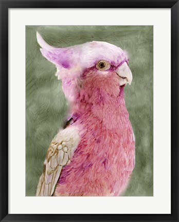 Framed Palm Springs Parrot I Print