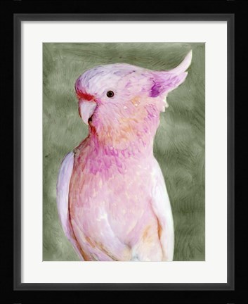 Framed Palm Springs Parrot II Print