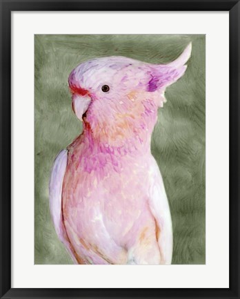 Framed Palm Springs Parrot II Print