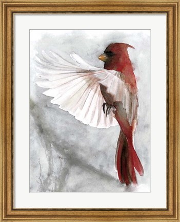 Framed Cardinals II Print