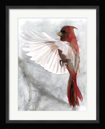 Framed Cardinals II Print