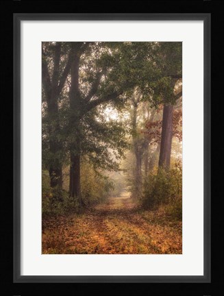 Framed Autumn's Walk I Print