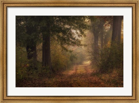 Framed Autumn&#39;s Walk III Print