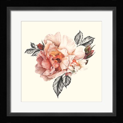 Framed Light of Day Rose I Print