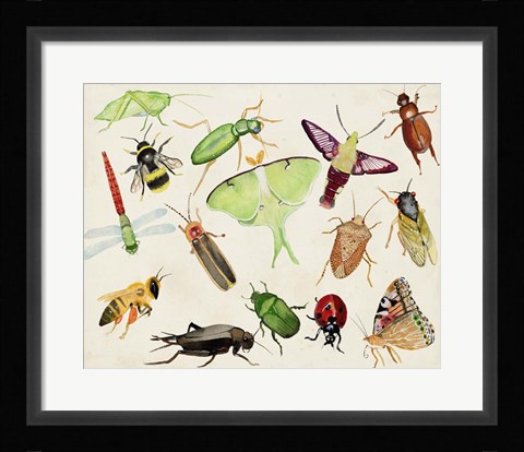 Framed Bugdom II Print