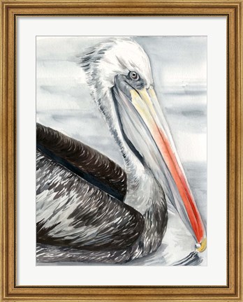 Framed Grey Pelican I Print