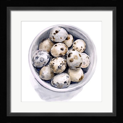 Framed Quail Egg Study II Print