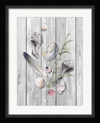 Framed Drifted Ashore II Print