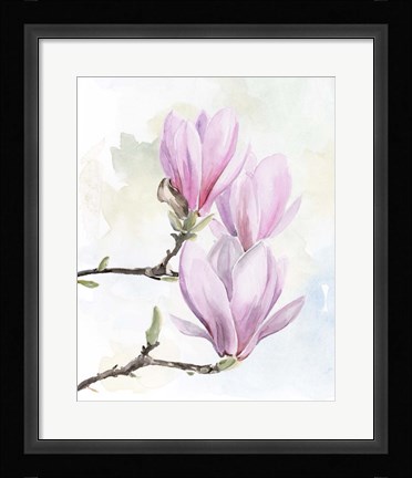 Framed Magnolia Blooms I Print