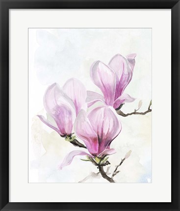 Framed Magnolia Blooms II Print