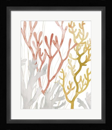 Framed Desert Coral I Print