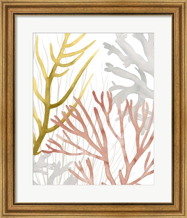 Framed Desert Coral II Print