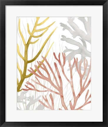 Framed Desert Coral II Print