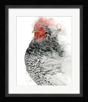 Framed Plymouth Rooster I Print