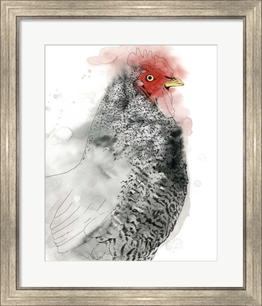 Framed Plymouth Rooster II Print