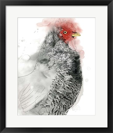 Framed Plymouth Rooster II Print