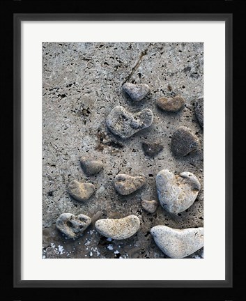 Framed Gifts of the Shore VI Print