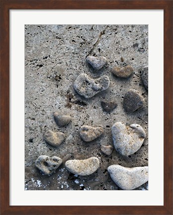 Framed Gifts of the Shore VI Print