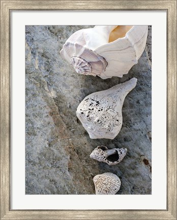 Framed Gifts of the Shore IX Print
