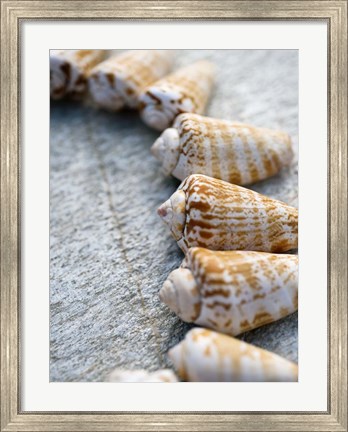 Framed Gifts of the Shore X Print