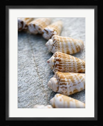 Framed Gifts of the Shore X Print