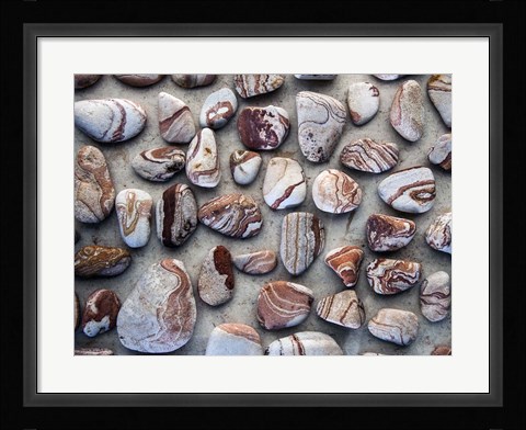 Framed Gifts of the Earth I Print