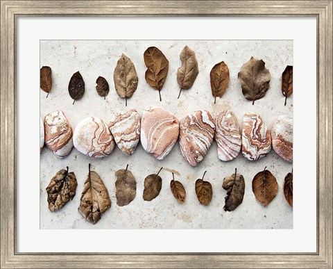Framed Gifts of the Earth III Print