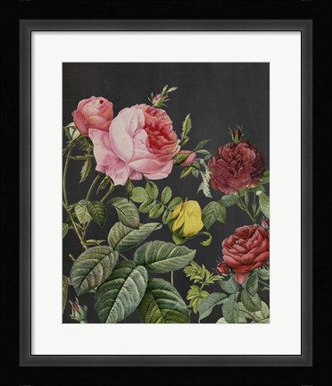 Framed Redoute's Bouquet I Print