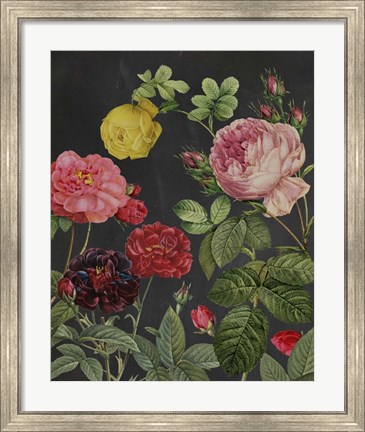 Framed Redoute&#39;s Bouquet II Print