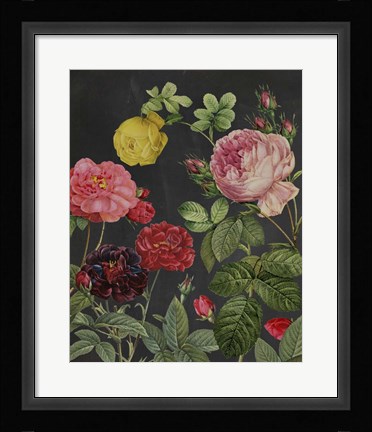 Framed Redoute's Bouquet II Print