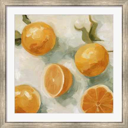 Framed Fresh Citrus IV Print