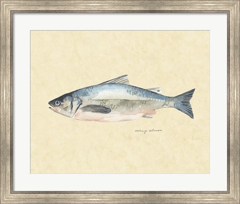 Framed Catch of the Day IV Print