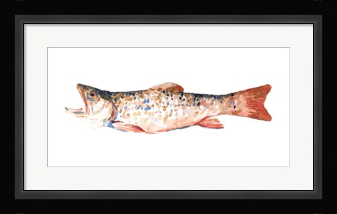 Framed Freckled Trout I Print