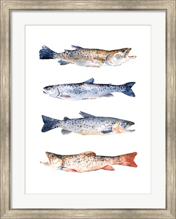 Framed Stacked Trout I Print