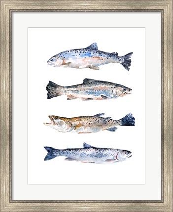 Framed Stacked Trout II Print