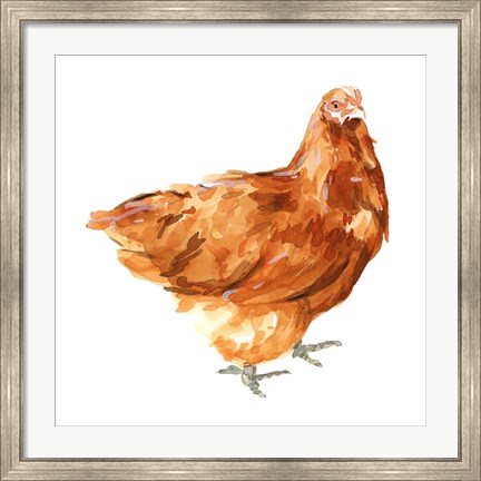 Framed Wild Chicken I Print