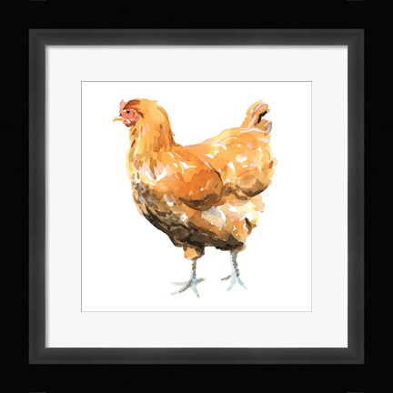 Framed Wild Chicken II Print