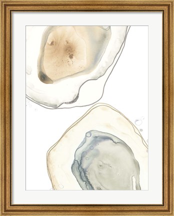Framed Ocean Oysters III Print