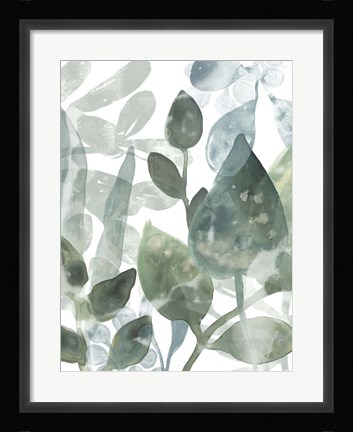 Framed Aquatic Leaves I Print