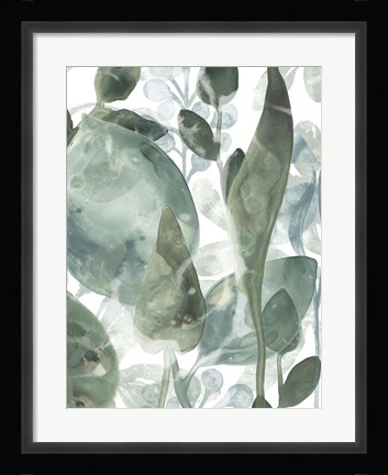 Framed Aquatic Leaves IV Print