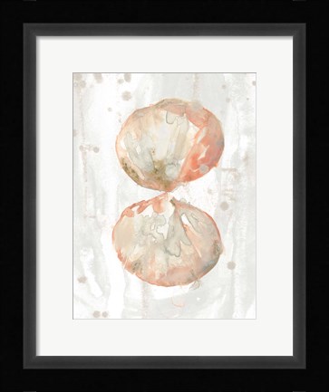 Framed Muted Molusk I Print