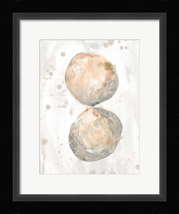 Framed Muted Molusk II Print