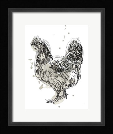 Framed Feathered Fowl IV Print