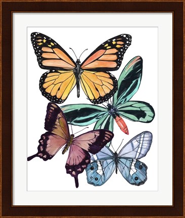 Framed Butterfly Swatches I Print
