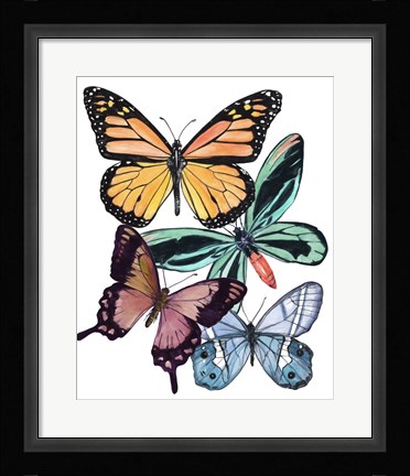 Framed Butterfly Swatches I Print