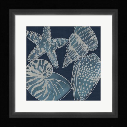 Framed Marine Shells I Print