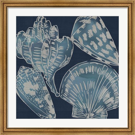 Framed Marine Shells II Print